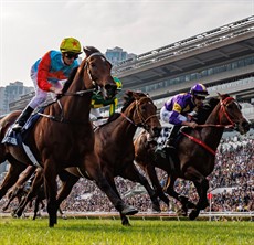 Helios Express (purple cap) chases home Ka Ying Rising at Sha Tin

Photos: Hong Kong Racing