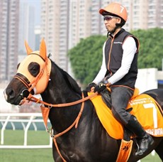 Jantar Mantar at work at Sha Tin