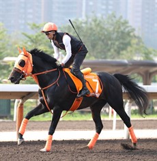 Photos: Darren Winningham