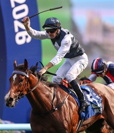 Hugh Bowman gives a victory salute aboard Invincible Ibis in the HK Derby

>Photos: Hong Kong Jockey club</b.