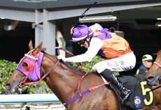 Photos: Darren Winningham