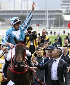 Romantic Warrior

Photos: Darren Winningham and Tim Clayton