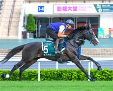 Photos: Darren Winningham and the Hong Kong Jockey Club
