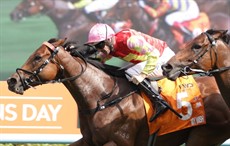 Photo: Darren Winningham