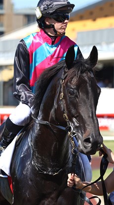 Antino ... he did Queensland proud

Photo: Graham Potter