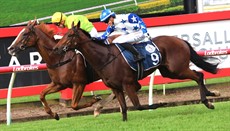 Rockribbed and Boomtown Boss fight out the finish of the Recognition Stakes with virtually nothing between them Could they quinella another big race for the Gollan stable
