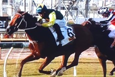 Yellow Brick wins The Archer (05/05/26)