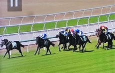 Our Brave Lini (white cap in the centre) bursts through inbetween runners ... 