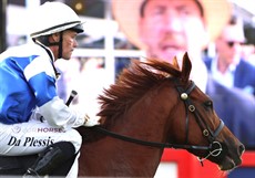 Sun Worshipper on his way back  toscale after the running of the Group 3 Chairmans'