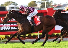 Rothfire in full cry ... taking out the Doomben 10 000

Photos: Graham Potter