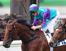 Rising World prevails on debut under Zac Purton.

Photos: Hong Kong Jockey Club