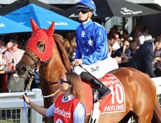 Payline

Photos: Graham Potter