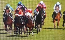 The Ipswich protest ... Gratification denied his rightful run .. bumped ... became unbalanced. Was awarded the race in teh Steward's Room after a portest