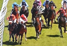 Gratification wins on protest at Ipswich (04/06/26)