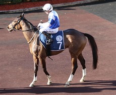 Prince Levi returns ti scale after his game effort