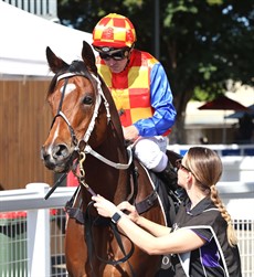 My Best Bet ... Automne Tree  (see race 7)