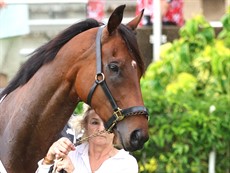 Knight's Choice

Photos: Graham Potter