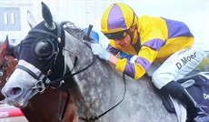 Trusty Bandit wins at Eagle Farm