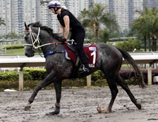 Chautauqua

Photos: Courtesy Hong Kong Jockey Club