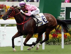 Danny Shum-trained Lucky Year,  ridden by Joao Moreira, wins the HKSAR Chief Executive’s Cup