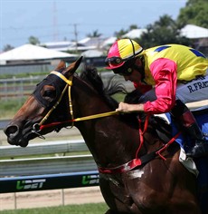 My Best Bet ... Walwa (race 1)

Photos: Graham Potter