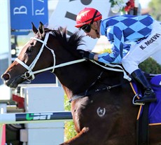 Youngstar

I think the Chris Waller trained Youngstar (3) won The Roses last start here impressively. She is looking for her fourth consecutive win and this race has been targeted by the Waller team since she resumed this preparation. She keeps on going from strength to strength each race and looks like she will win this Group 1 event. (see race 8)