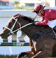 Zousain

The Chris Waller Zousain (3) debuted in Brisbane with a BANG winning the Champagne Classic (Group 2) over 1200 metres. I think with the turn of foot displayed last start at the 200 metres I really cannot see him being beaten again this weekend. (see race 5)