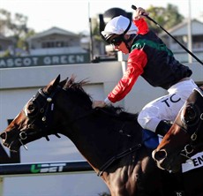 English (pictured winning the Doomben 10 000)

The Waterhouse & Bott runner English (9) was superb winning the Doomben 10,000 a fortnight ago. She is a wonderful mare who just puts in every start. She deserved that win last start. This weekend I think the race will be run differently – she will probably be ridden behind the leaders from barrier 1 and may need some luck. (see race 7)