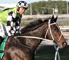 Jason Taylor and Madame Rouge

Jason already has a Stradbroke winner (Sincero) to his name and he did everything but add a second to the list when just touched off by Tyzone on the $51 chance Madam Rouge in the last stride. That was a great effort by horse and rider.
