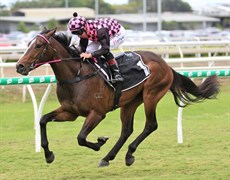 When Rothfire scooted over 600m on the Eagle Farm course proper in 32 seconds in a track gallop, many dismissed the time as fanciful. It wasn’t. It was the sign of a winning gallop which was franked in his Run To The Rose triumph on the weekend.