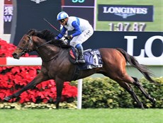 Lord Kanaloa

Photos: Courtesy Hong Kong Jockey Club