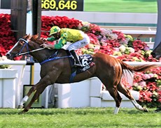 Photos: Courtesy Hong Kong Jockey Club