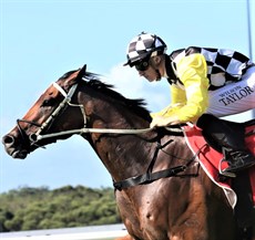 Profit and Kyle Wilson-Taylor ... looking to make it two-in-a-row

Photos: Graham Potter