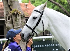 For the love of the horse

Photos: Graham Potter