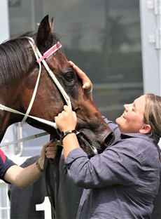 Steady Ready (see race 2)