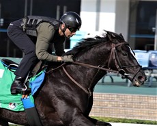 Joao Moreira and Glory Vase ... looking for a piece of history in the Group 1 Hong Kong Vase