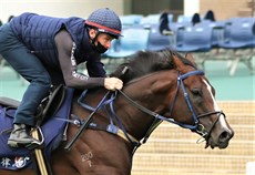 The only Australian runner in the Hong Kong International Group 1 feature races ... Law Of Indices, with James McDonald in the saddle, races in the Hong Kong Mile