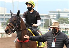 Lim's Kosciuzsko ... racing under the Singapore flag but being trained by Dan Meagher and ridden by Danny Beasley means the Aussies will be cheering when he lines up in the Hong Kong Sprint