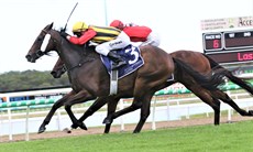 Simply Fly winning last time out with Jimmy Orman in the saddle

Photos: Graham Potter