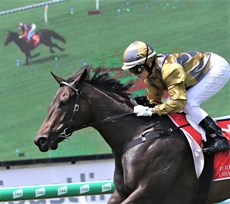 Party For Two and Nikita Beriman. The two wins for trainer Damien Batters ... winning by 7.50 lengths at the Sunshine Coast (above) and by 2.50 lengths at Doomben (below)