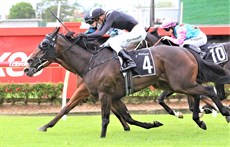 Jones' three winners at Doomben last Saturday were Patton ...taken back to last from a wide gate, saved ground, angled through a number of gaps in the home straight and got up in a rousing finish to score a last stride victory