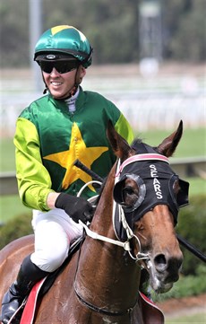 Yellow Brick and Ben Thompson ... the main local hope in the Group 3 Gold Coast Guineas (see race 6)