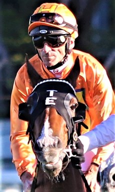 Fradd and Tyzone, his Stradbroke winner 

Photos: Graham Potter