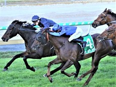 Thompson's near miss with Gravina in the Eye Liner, narrowly beaten by Lady Of Honour (above and below)