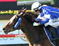 Winning the Tatts Gold Crown aboard Noah 'N' A Deel