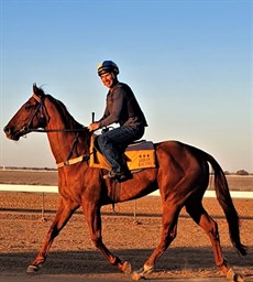 Just limbering up at Birdsville 