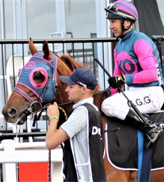 Torbreck and Gary Geran ... the Corey and Kylie Geran stable's live chance in the Birdsville Cup this weekend