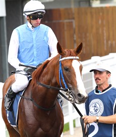 Mishani Lily (above) and Mishani Crown (below) ... just two of the seven runners the Ross stable will send into action in the Two-Year-Old Jewel