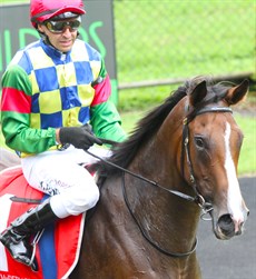 ... and the highly recognisable stable silks that are part of so much of the stable success

Photos: Graham Potter