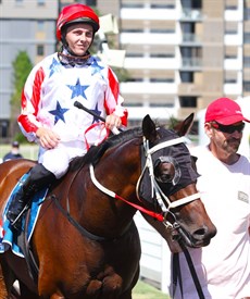 From back to where it all started, Thompson brings Majestic Boom back to scale as a debut wnner at a starting price of $101 ...